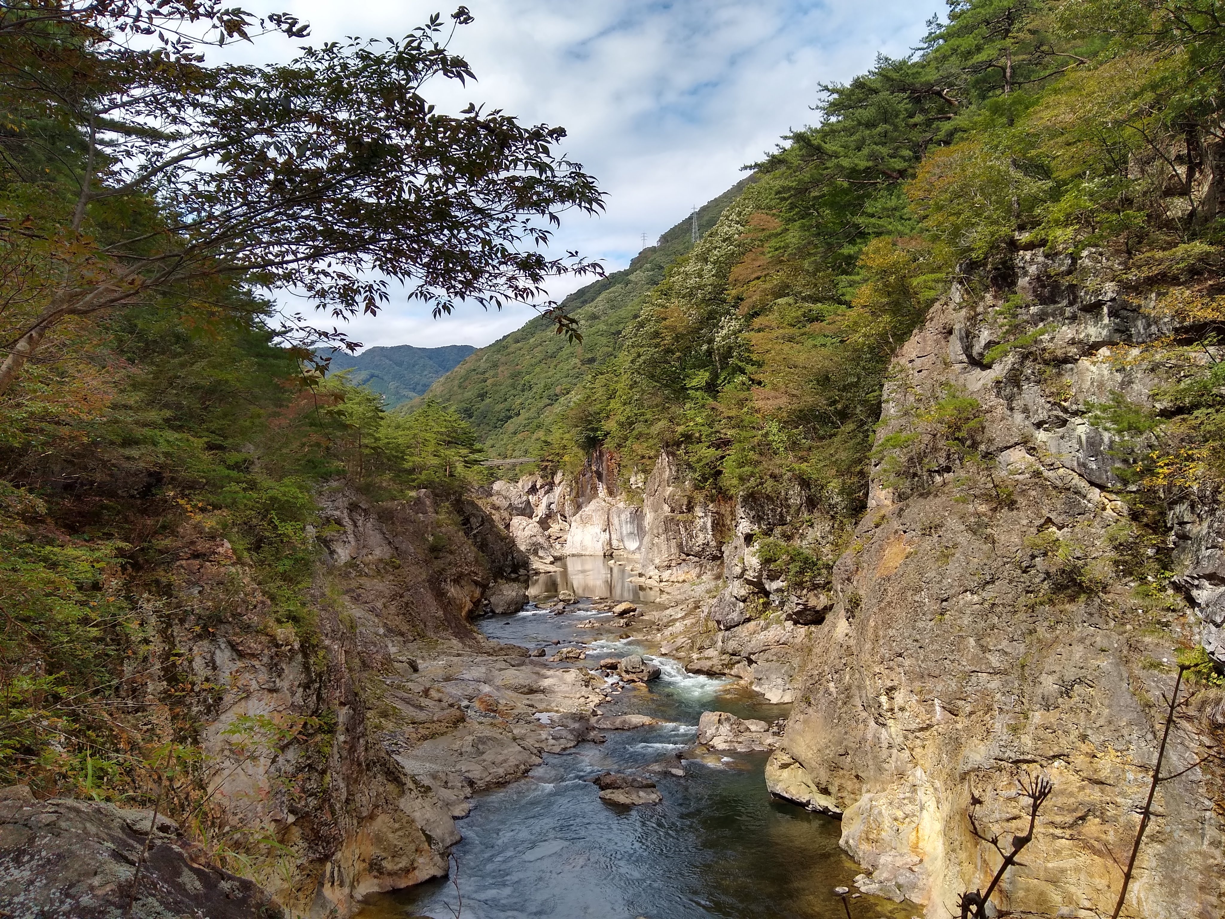Suspension bridge strung across the Ryūōkyō gorge above the Kinugawa river, forested cliffs on either side.